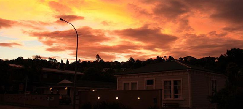 The Bug Backpackers  Hostel