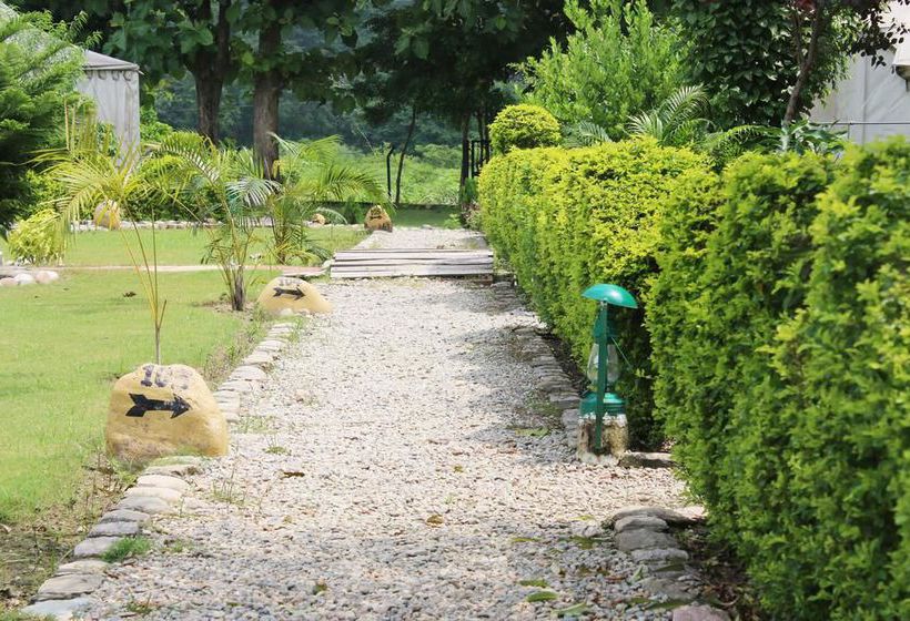 Hotel Oyo Premium Near Jhirna Road Corbett 5