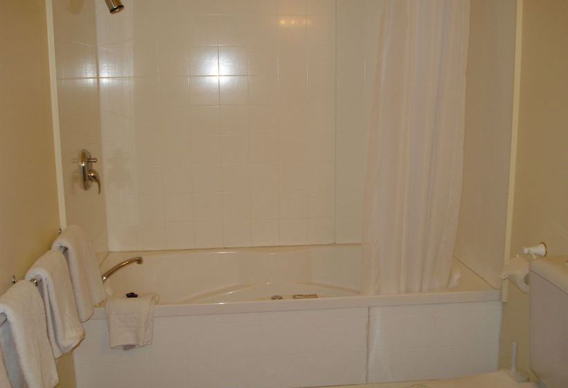 Motel The Peaks Motor Inn 6