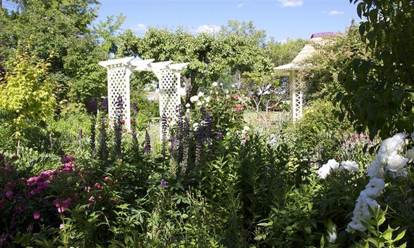 Bed and Breakfast Hartley Homestead Boutique B And B 1