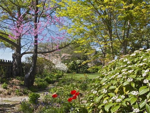 Bed and Breakfast Hartley Homestead Boutique B And B 12