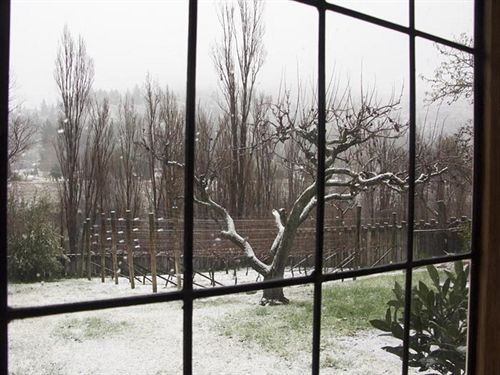 Bed and Breakfast Hartley Homestead Boutique B And B 13