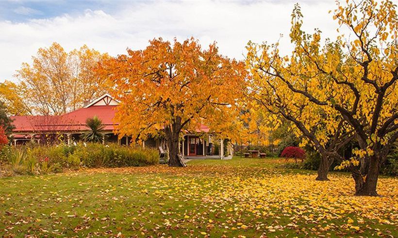 Bed and Breakfast Hartley Homestead Boutique B And B 9