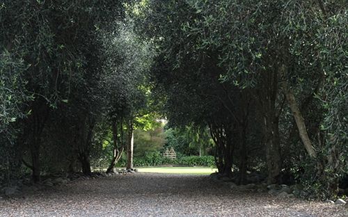 Bradleys Garden Bed & Breakfast 11