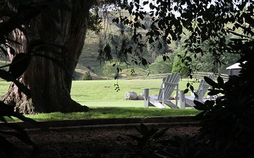 Bradleys Garden Bed & Breakfast 14