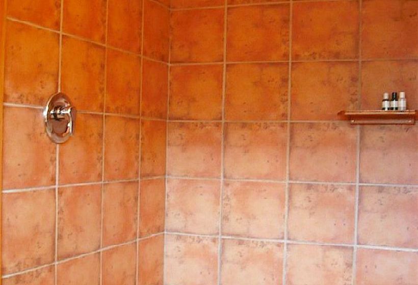 Bed and Breakfast Beechwood Lodge Manapouri