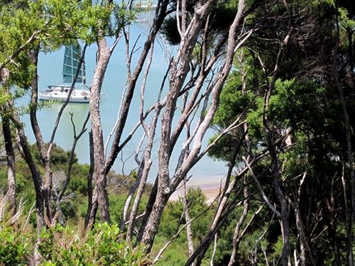 Bed and Breakfast A Tranquil Place 4