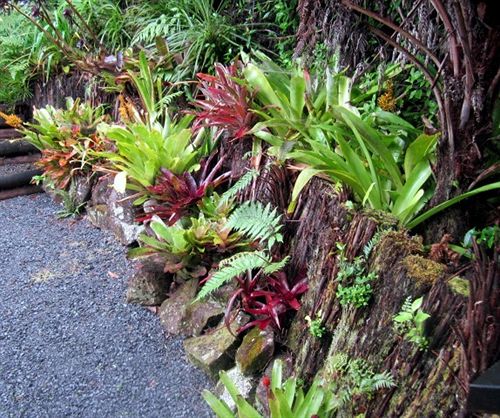 Bed and Breakfast A Tranquil Place 6