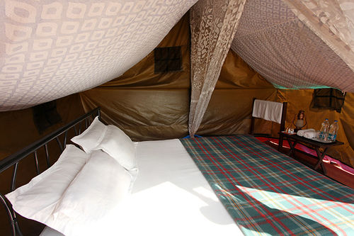 Hotel Whispering Pines Himalayan Retreat 5