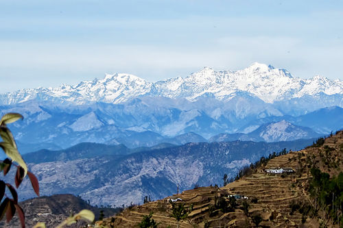 Hotel Whispering Pines Himalayan Retreat 8