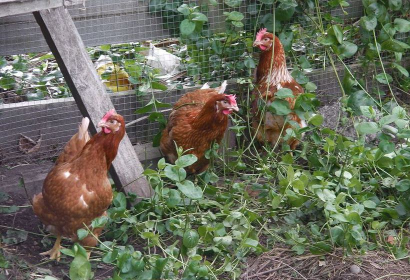 Hotel Esk Valley Lodge 19