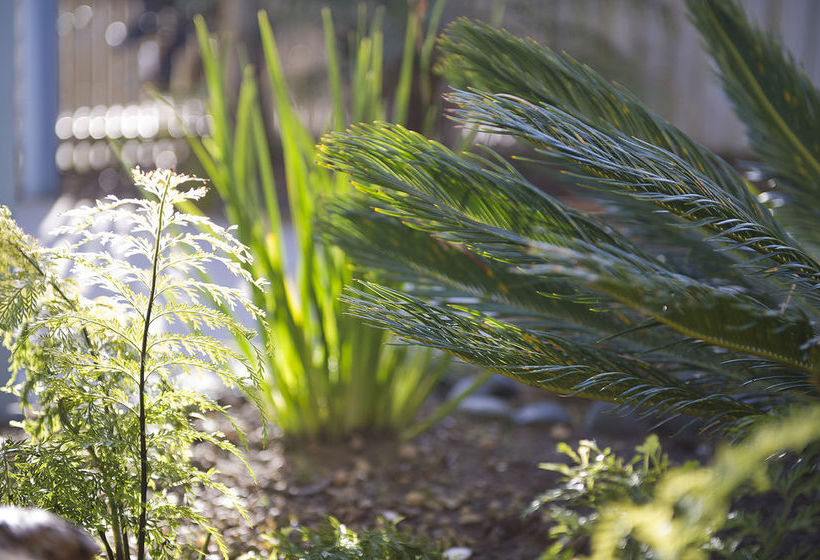 Pipi Dune Bed & Breakfast 1