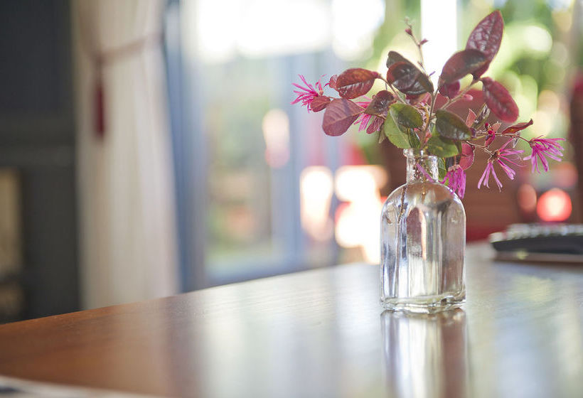 Pipi Dune Bed & Breakfast 5