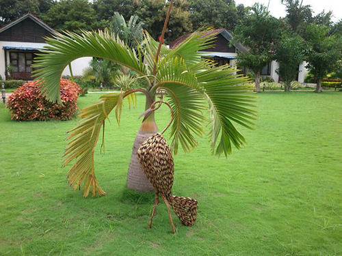 Hotel United21 Vanvaso 13