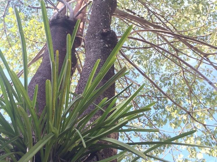 Hotel J.holiday Inn 18