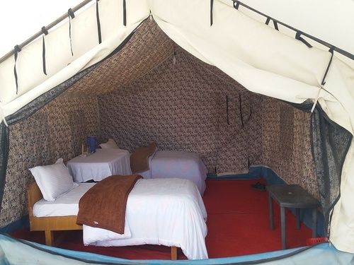 Hotel Wonderland Camp 13