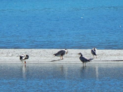 Hotel Wonderland Camp 9