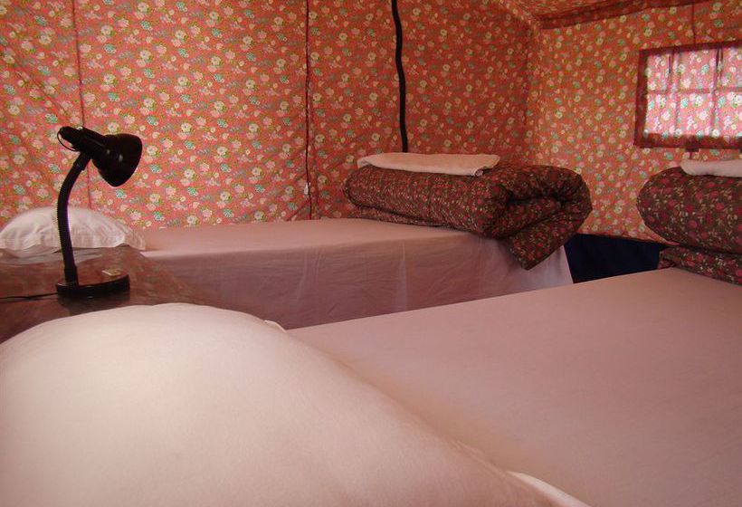 Hotel Double Humped Camp Hunder 16