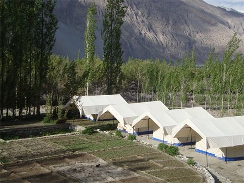 Hotel Double Humped Camp Hunder 17