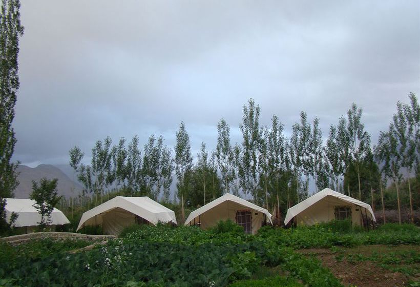 Hotel Double Humped Camp Hunder 2