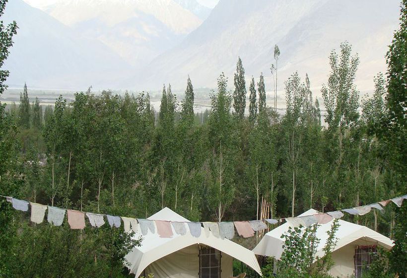 Hotel Double Humped Camp Hunder 6