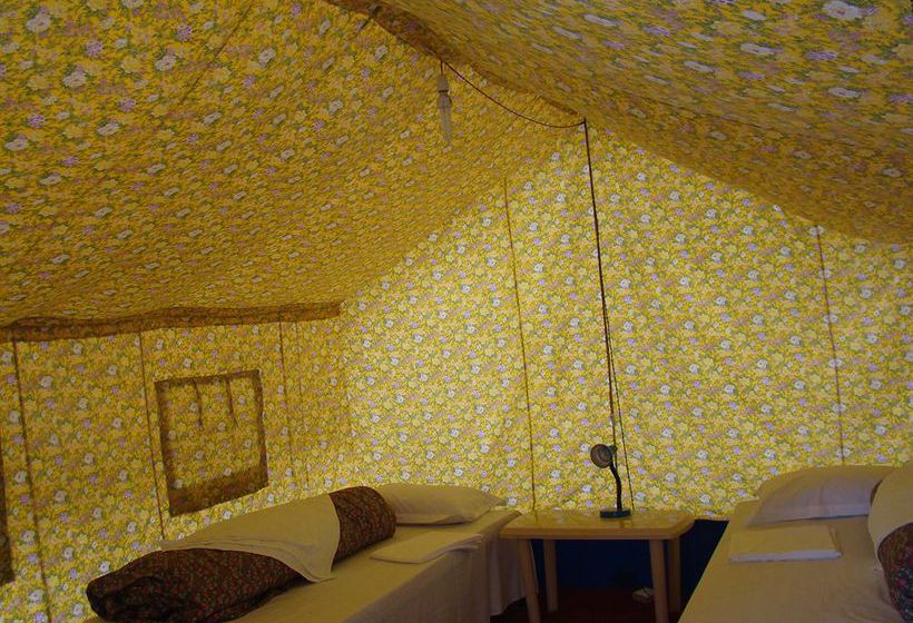 Hotel Double Humped Camp Hunder 7