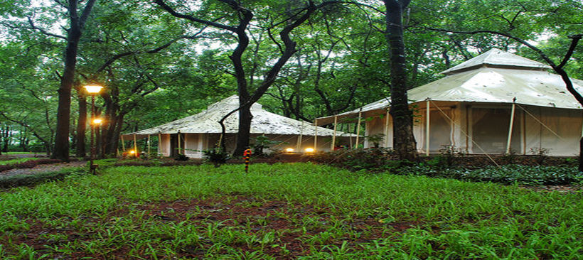 The Farm House India 19