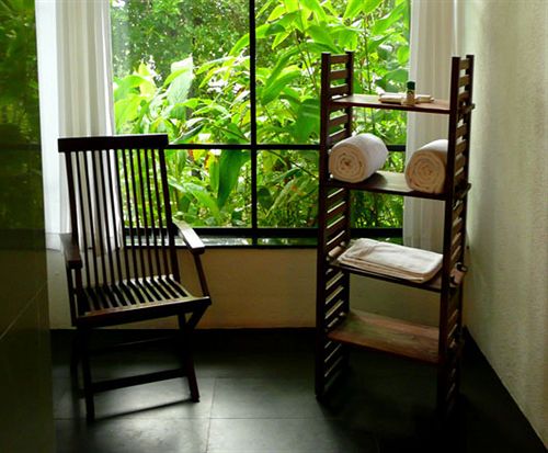 Hotel Rain Forest Boutique Resort 3