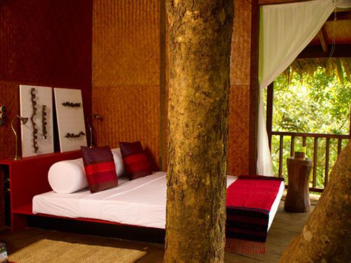 Hotel Rain Forest Boutique Resort 4