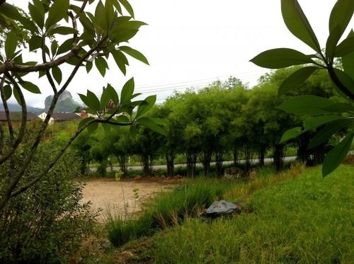 Hotel Baan Dinlamun 11