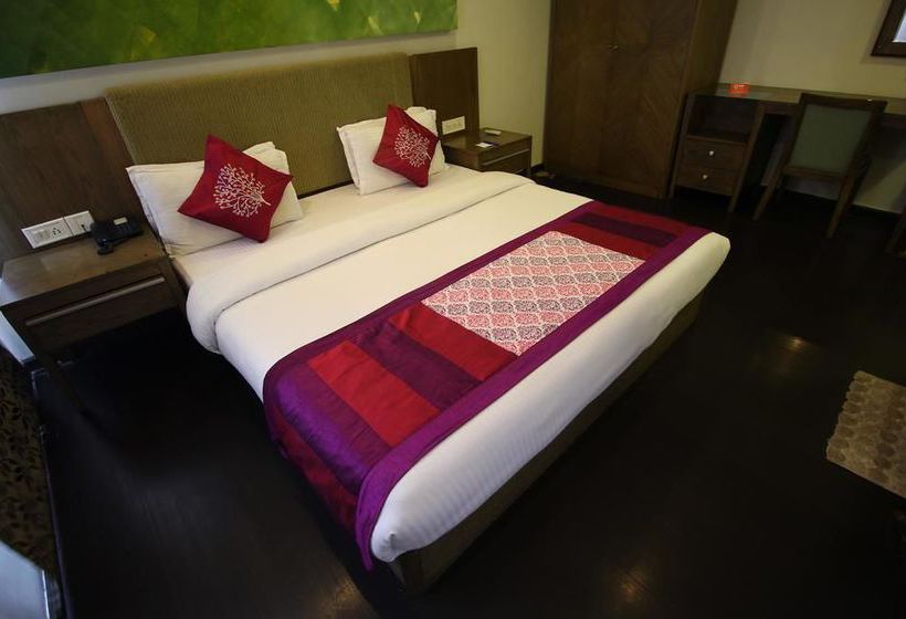 Hotel Oyo Premium Gujarat College Ellisbridge 8