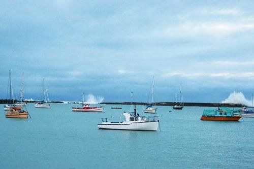 Eden Gardens Motel 5