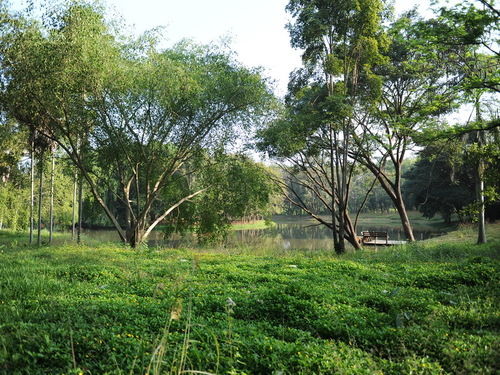 Resort Sippa Hotspring 18