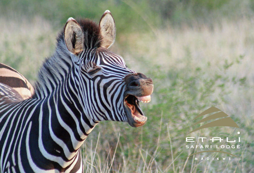 Hotel Etali Safari Lodge 17