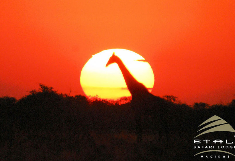 Hotel Etali Safari Lodge 18