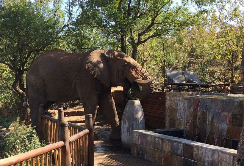 Hotel Etali Safari Lodge 2