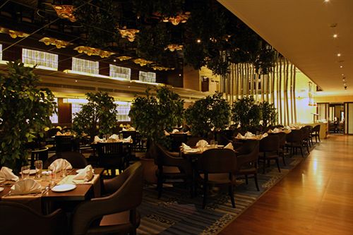 Hotel Minerva Grand Kondapur 3