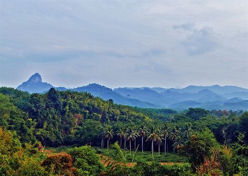 Resort Khaosok Boutique Camps 15