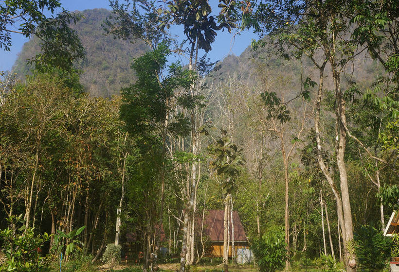 Pension Khao Sok Jungle Resort 12