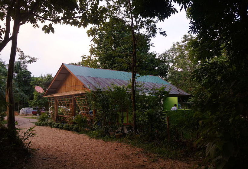 Pension Khao Sok Jungle Resort 16