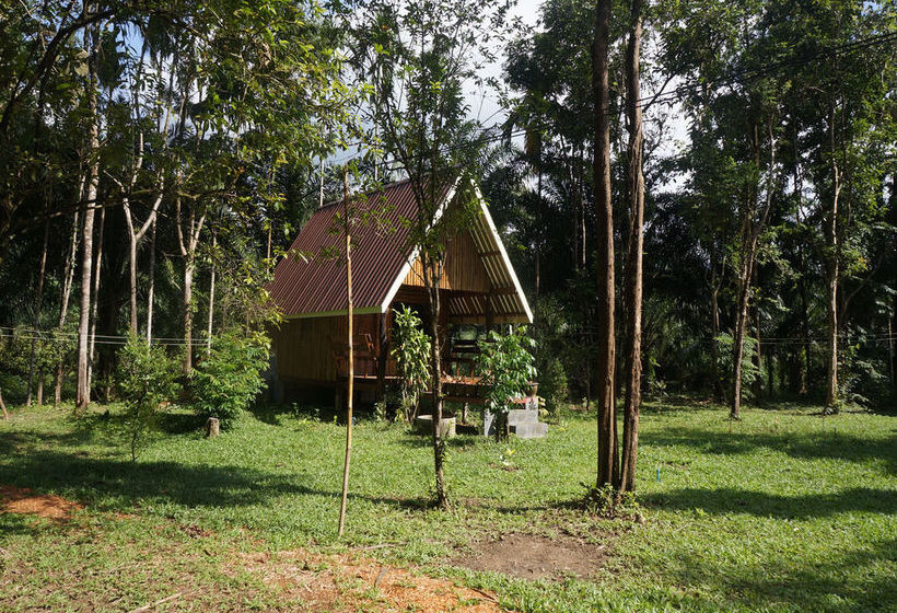 Pension Khao Sok Jungle Resort 2