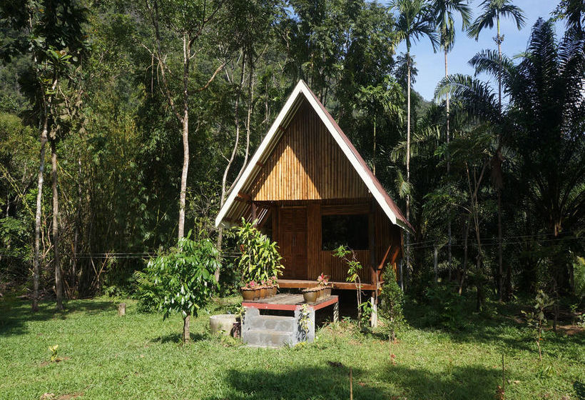 Pension Khao Sok Jungle Resort 3