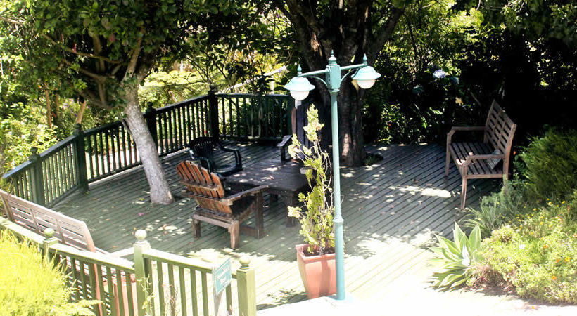 Hotel Carmel Guest Farm 19