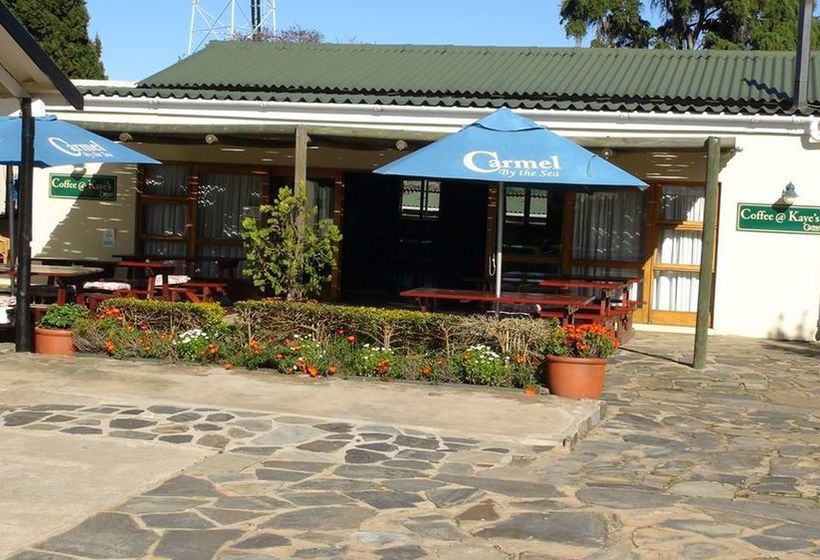 Hotel Carmel Guest Farm 3