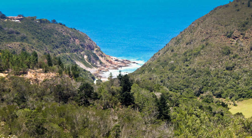 Hotel Carmel Guest Farm 7