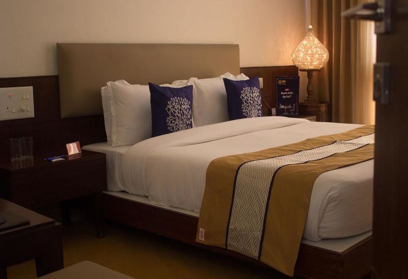 Hotel Oyo Premium Embassy Hingna Road 11