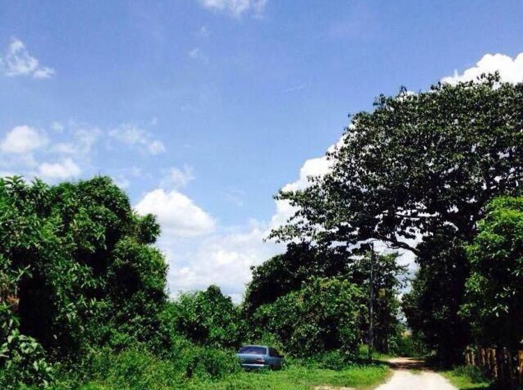 Pension Foreste Resort 7