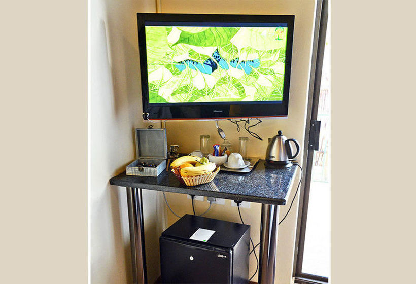 Pensión Gatz Guest House 12