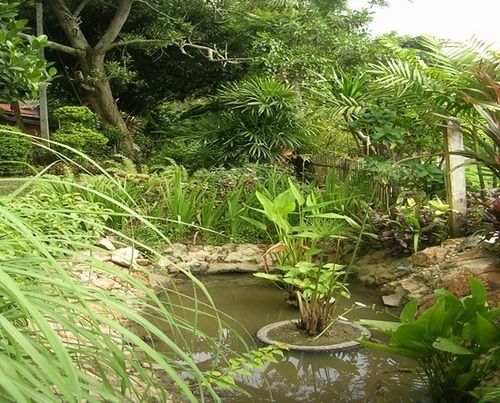 Hotel Romyen Garden Resort 3