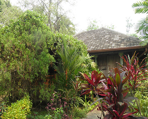 Hotel Romyen Garden Resort 8